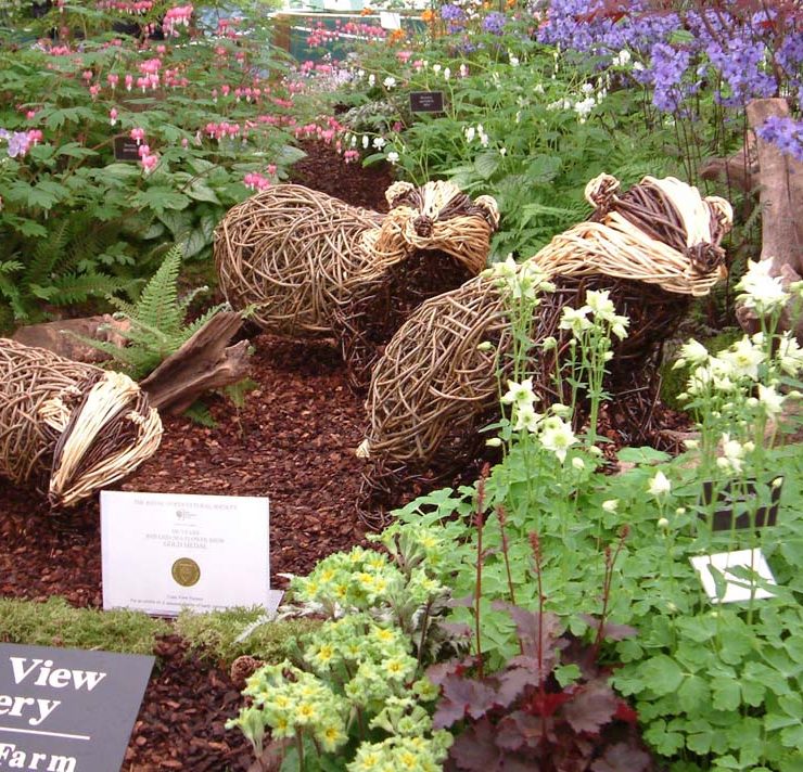 Willow sculpture of a badger at chelsea flower show