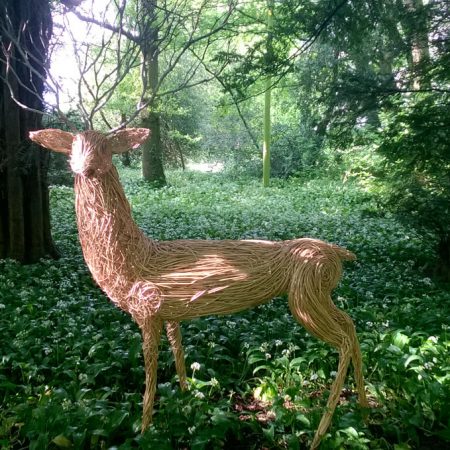 Willow sculpture of white stag