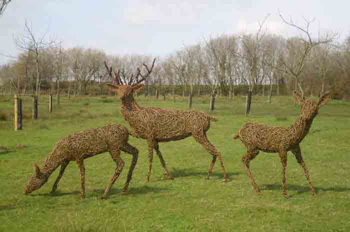 Willow sculpture of a stag and does