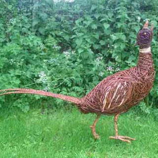 Willow sculpture of a giant pheasant