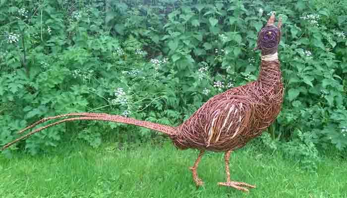 This Pheasant is 6 feet long and made with various coloured willows plus some red dogwood.