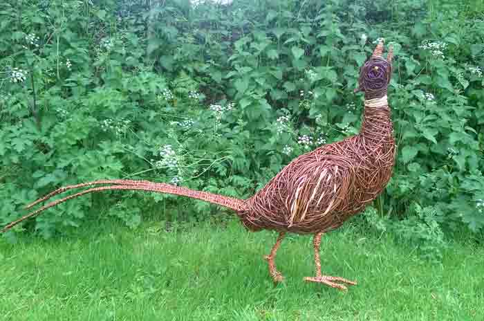 Willow sculpture of a giant pheasant