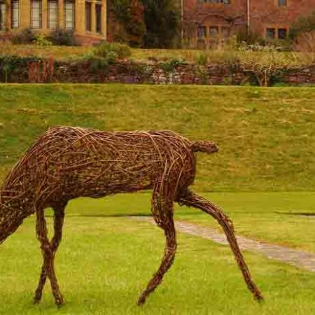 Stag – Woody Fox