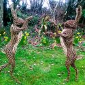Willow sculpture of boxing hares