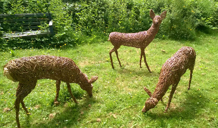 Willow sculpture of roe deer