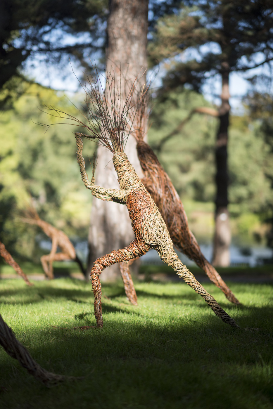 Kew gardens commission , Treelings  Willow sculptures