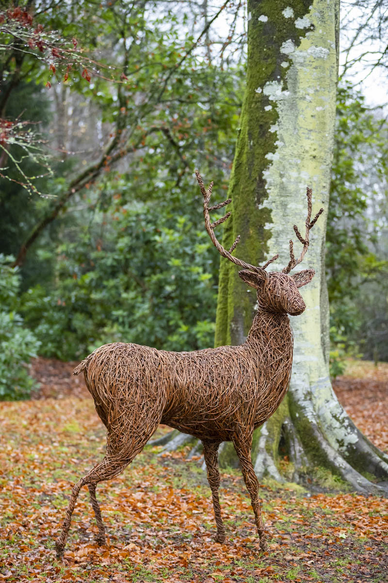 Willow sculpture of stag