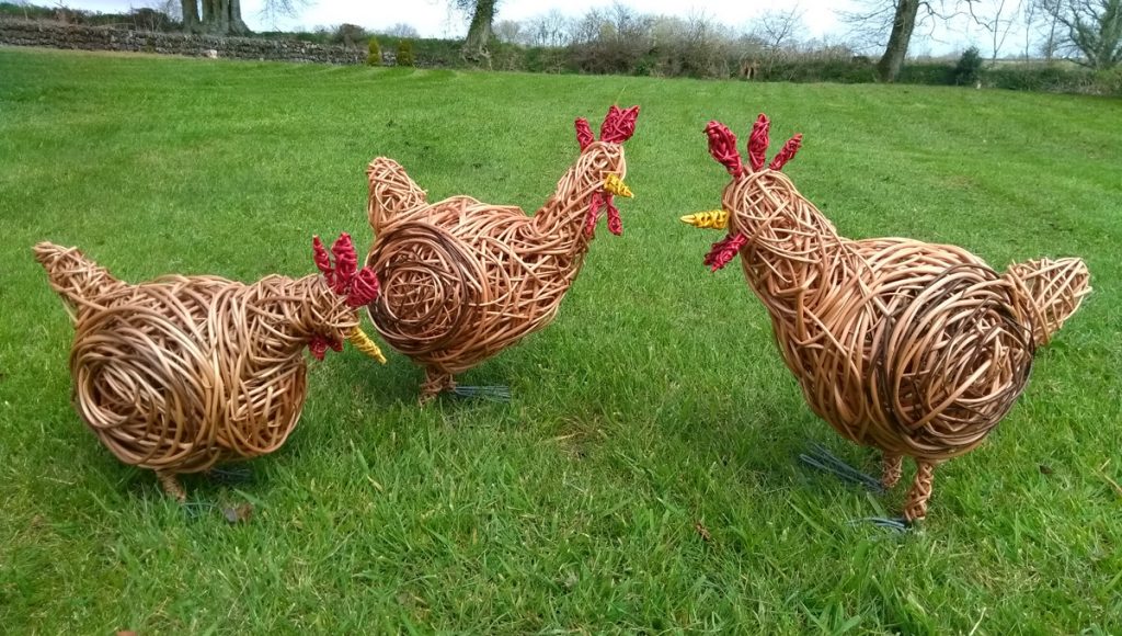 Willow Chickens Woody Fox