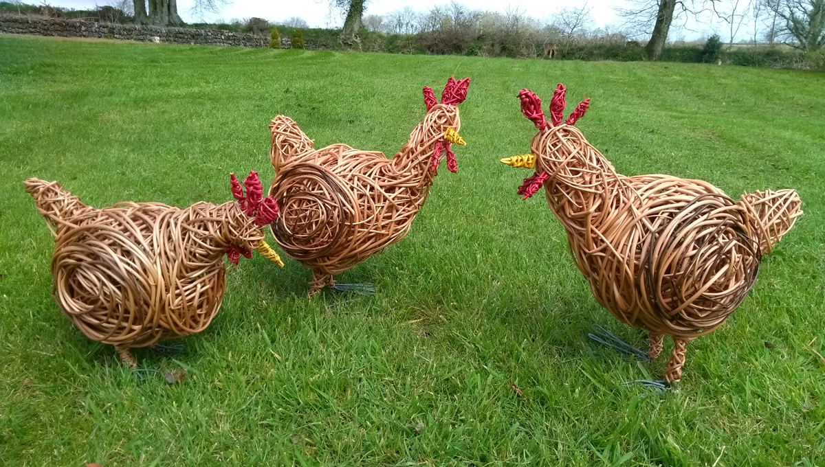 Willow sculptures of 3 chickens, made of willows and wire legs