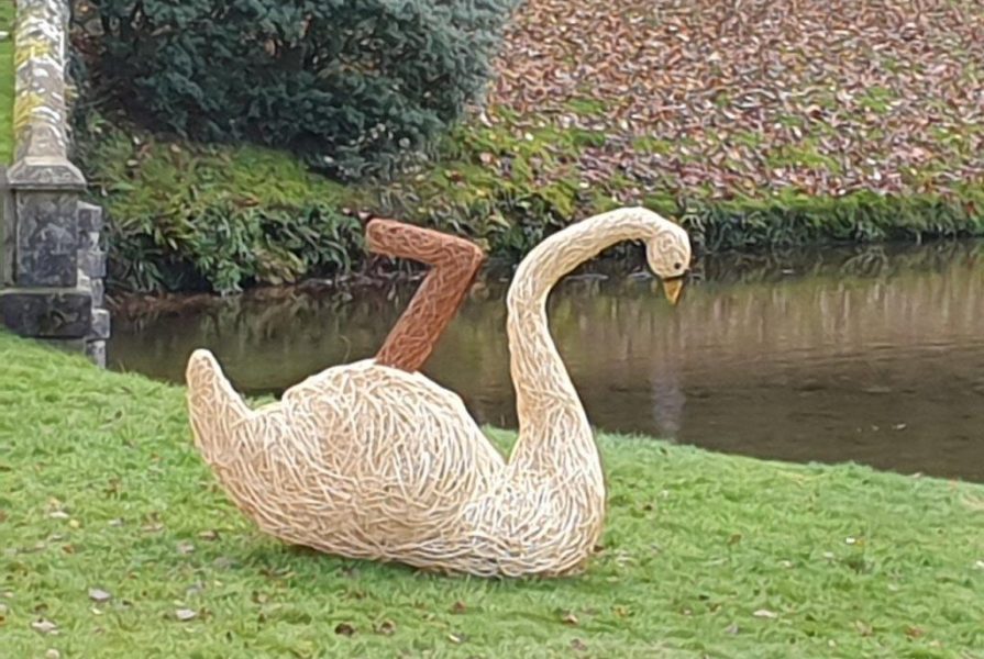 willow sculpture of seven swans a swimming