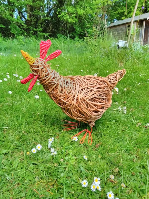 willow chickens