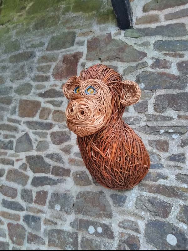 Willow monkey head.