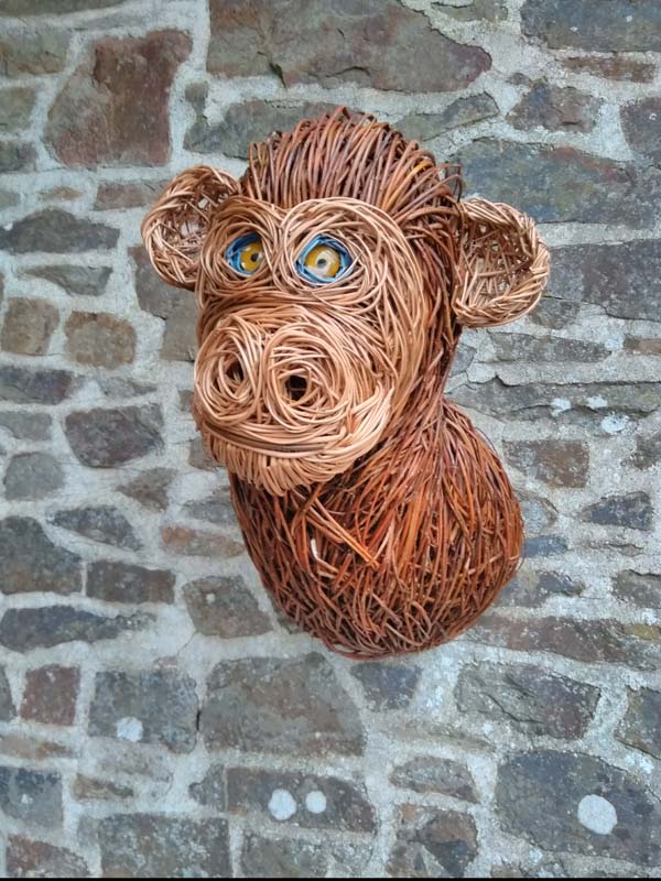 Willow monkey head.