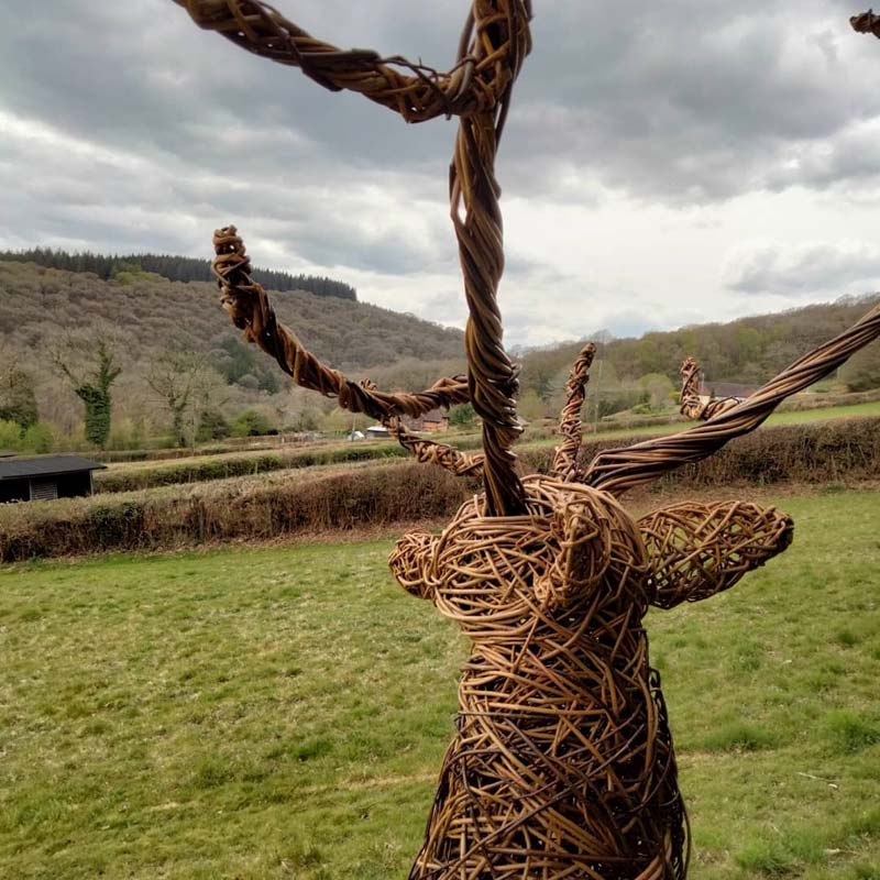 majestic willow stag