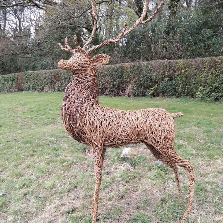 majestic stag