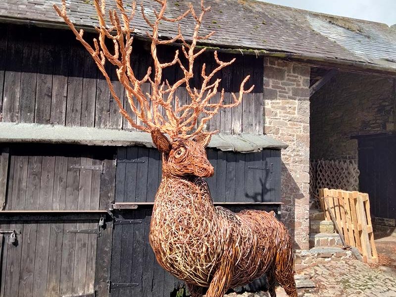 7.5 foot high stag with 6 foot x6 foot antlers