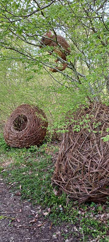 nests and dormouse