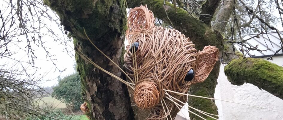 This Giant Dormouse was made for Kew Gardens at Wakehurst to climb in the trees there. Next to it on the ground is a dormouse hibernation nest with another dormouse sleeping in it and beside that is another nest for children to pretend to be dormice. All are made with[...]