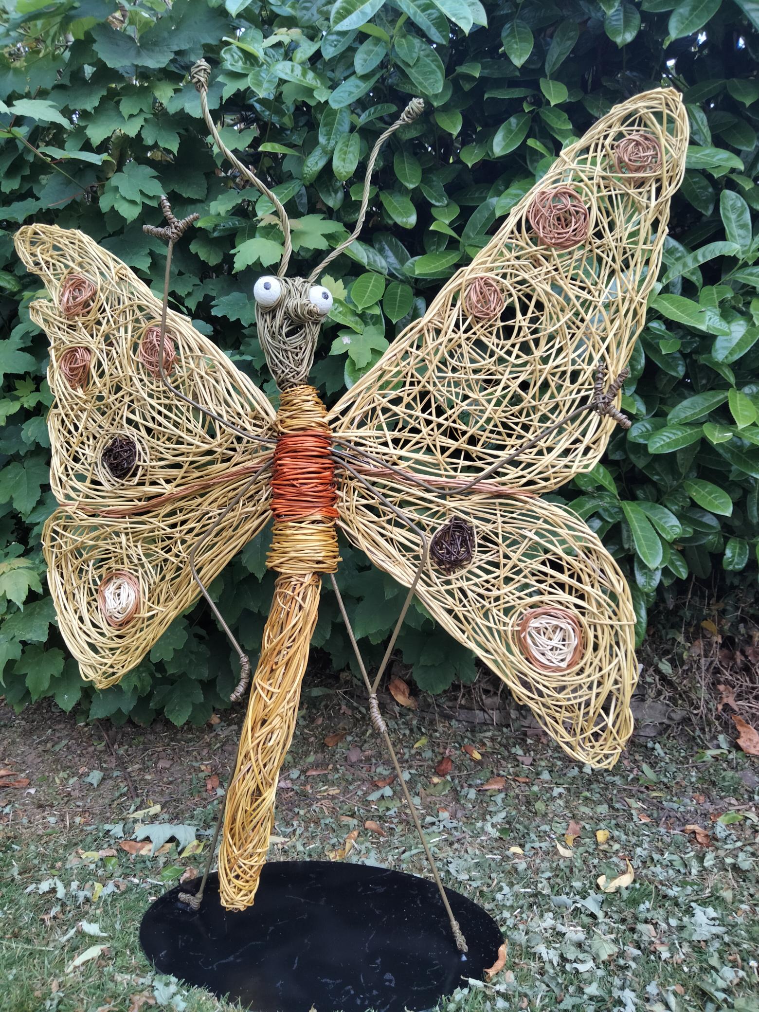 Willow butterfly character